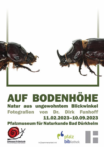 he Poster Auf Bodenh2023