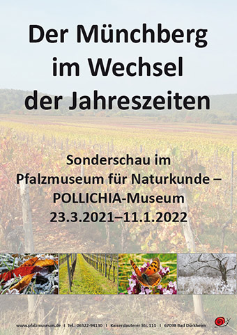 Plakat Münchberg