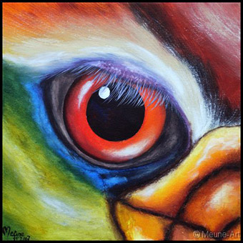 Auge eines Hornvogels